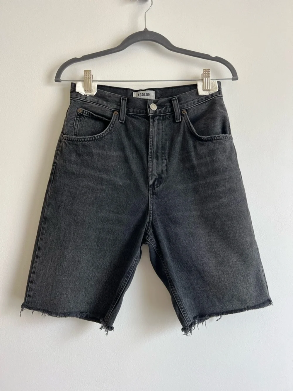 RESERVED Agolde Pinch Waist Short in Paranormal - Picture 5 of 14
